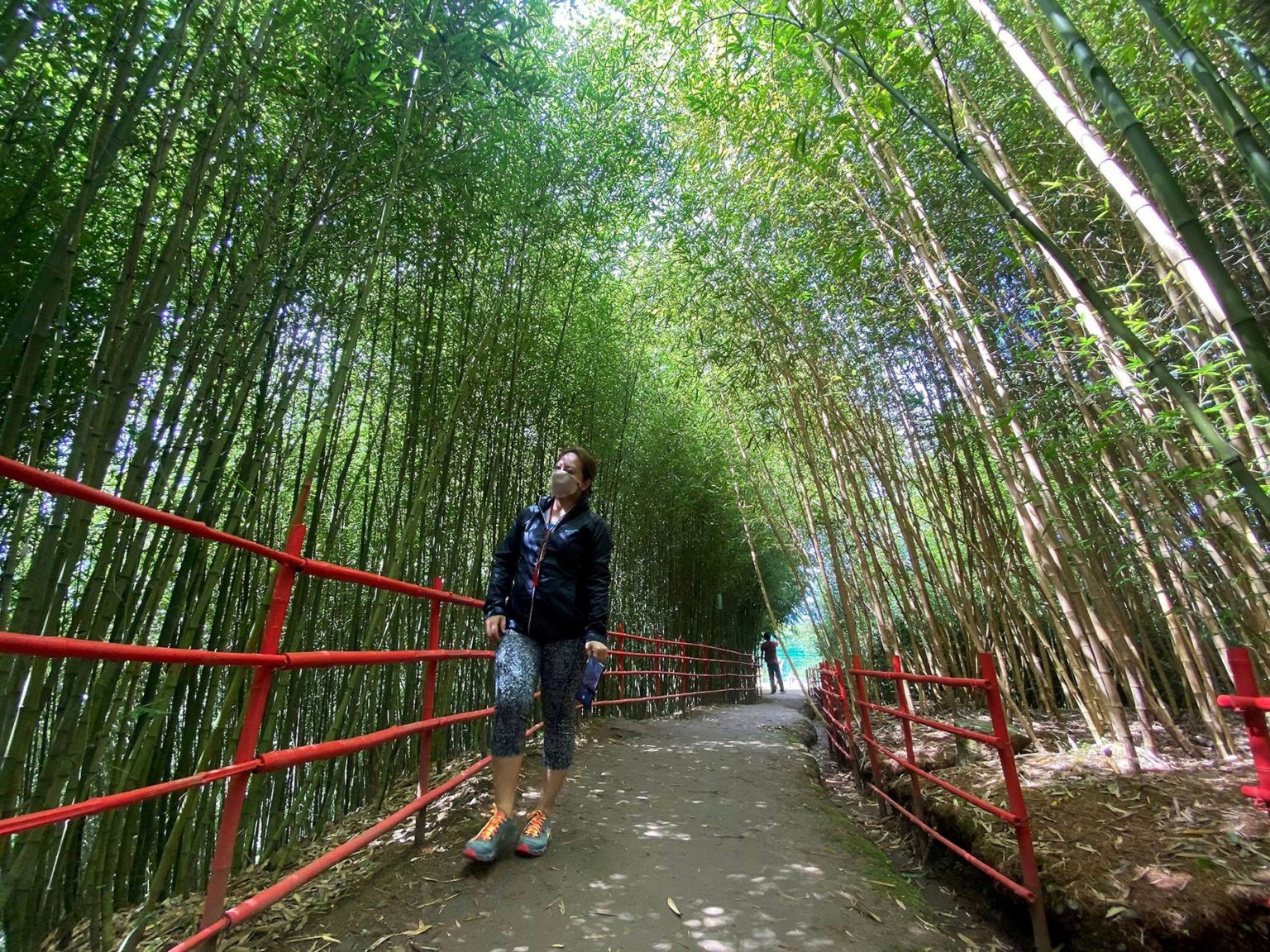 Bamboo Sanctuary - Amianan Balita Ngayon